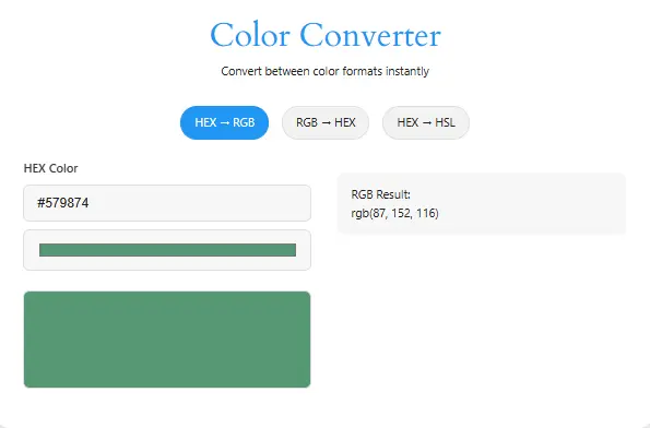 Professional HEX to RGB Color Converter Tool HEX to RGB converter tool interface with live color preview and copy button